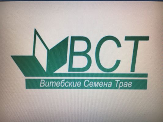 клевер луговой