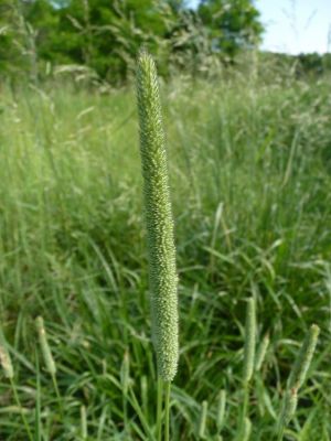 Многокомпонентные смеси индивидуального состава