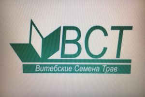 клевер ползучий